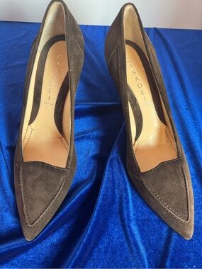 Casadei Women's Brown Suede Pointed-Toe Kitten Heel Pumps